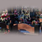 Tsokoli-017 Tsokoli-017